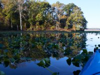 10-29-16-Mattawoman-20246