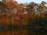 10-30-16-Broad Creek De-20460