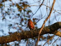 10-30-16-Broad Creek De-20560