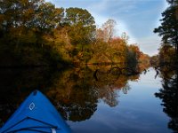 10-30-16-Broad Creek De-20571