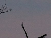 11-06-16-Blackwater-20828