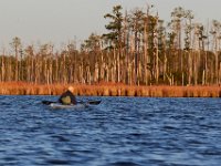 11-06-16-Blackwater-20907
