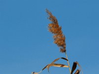 11-06-16-Blackwater-21202