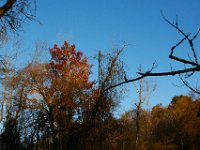 11-13-16-Piscataway-21749