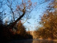11-13-16-Piscataway-21784