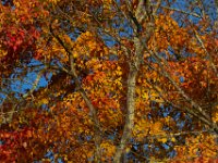 11-13-16-Piscataway-21876
