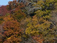 11-13-16-Piscataway-22071