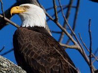 11-13-16-Piscataway-22246