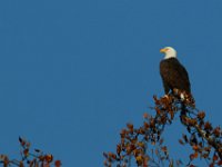 11-13-16-Piscataway-22281