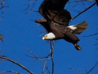 11-13-16-Piscataway-22307