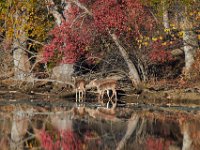11-13-16-Piscataway-22309