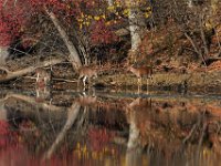 11-13-16-Piscataway-22319