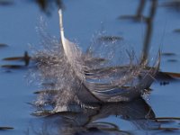 11-13-16-Piscataway-22406