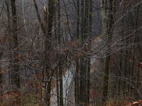 11-25-16-Patapsco Valley State Park-22828