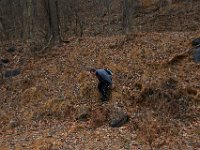 11-25-16-Patapsco Valley State Park-22859
