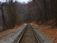 11-25-16-Patapsco Valley State Park-22865
