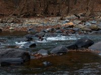 11-25-16-Patapsco Valley State Park-22866