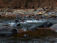 11-25-16-Patapsco Valley State Park-22868