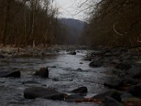 11-25-16-Patapsco Valley State Park-22877