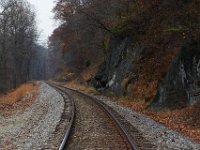 11-25-16-Patapsco Valley State Park-22887