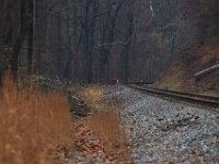 11-25-16-Patapsco Valley State Park-22898