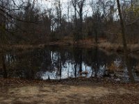 11-25-16-Patapsco Valley State Park-22915
