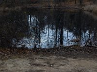 11-25-16-Patapsco Valley State Park-22916