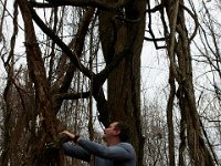 11-25-16-Patapsco Valley State Park-22938