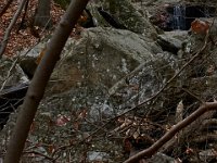 11-25-16-Patapsco Valley State Park-22981