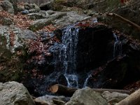 11-25-16-Patapsco Valley State Park-22994
