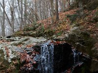 11-25-16-Patapsco Valley State Park-23000