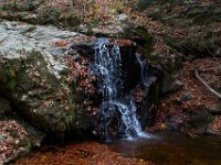 11-25-16-Patapsco Valley State Park-23005