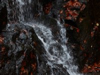 11-25-16-Patapsco Valley State Park-23033