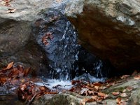 11-25-16-Patapsco Valley State Park-23055
