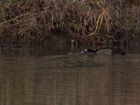 12-13-15-Piscataway-29266
