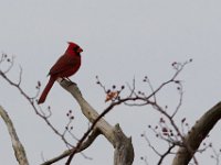 12-13-15-Piscataway-29360