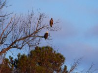 12-16-15-Mattaponi-29476