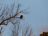12-16-15-Mattaponi-29479