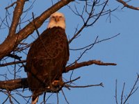 12-16-15-Mattaponi-29498