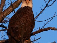 12-16-15-Mattaponi-29504
