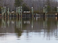 02-19-17-Nanjemoy-24001