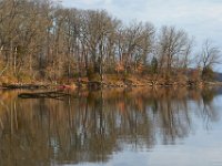 02-19-17-Nanjemoy-24135 1