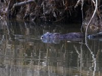 03-25-17-Piscataway-24358 1