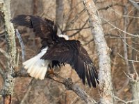 03-25-17-Piscataway-24423