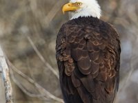 03-25-17-Piscataway-24455