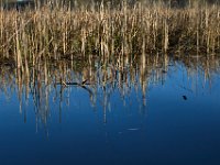 04-09-17-Mattawoman-24646