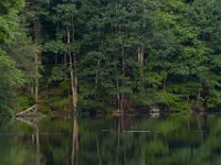06-03-17-Rocky Gorge-27062