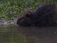 06-04-17-Piscataway-27192