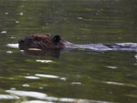 06-04-17-Piscataway-27199