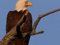06-04-17-Piscataway-27320